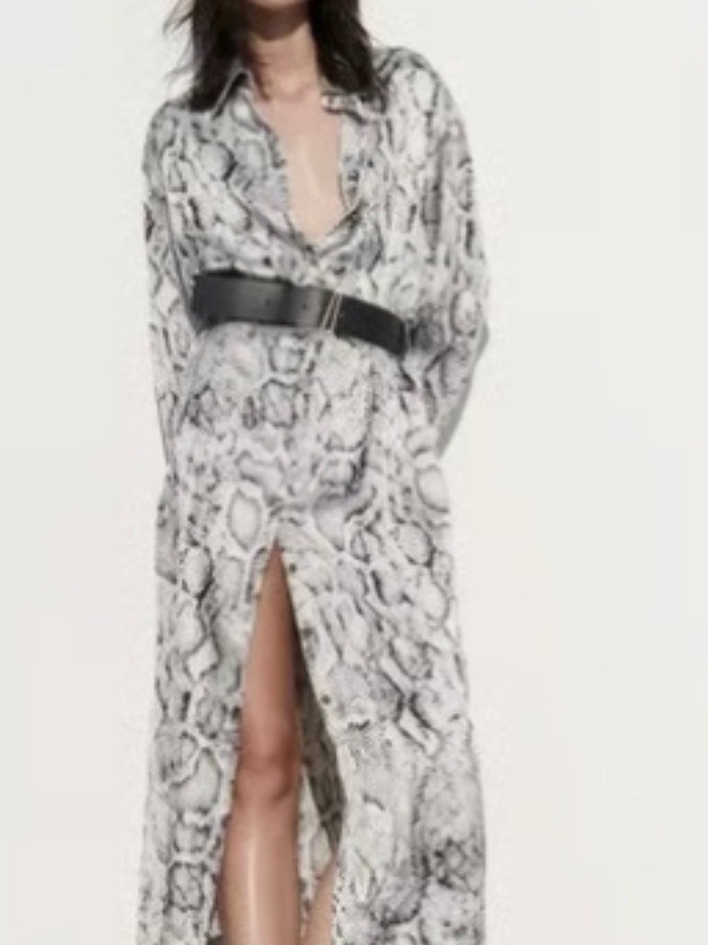 Zara Snake-Print Maxi Dress in Gray and Black